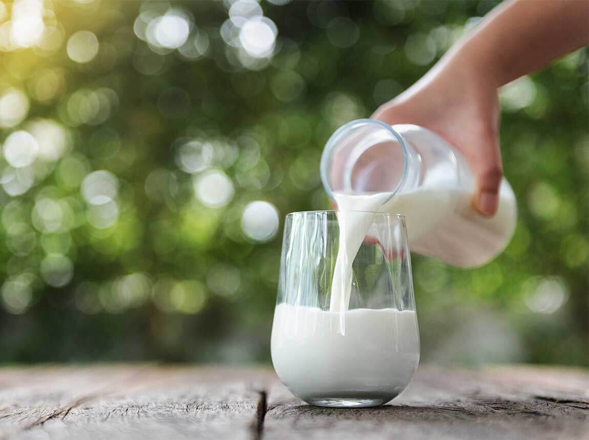 Milch