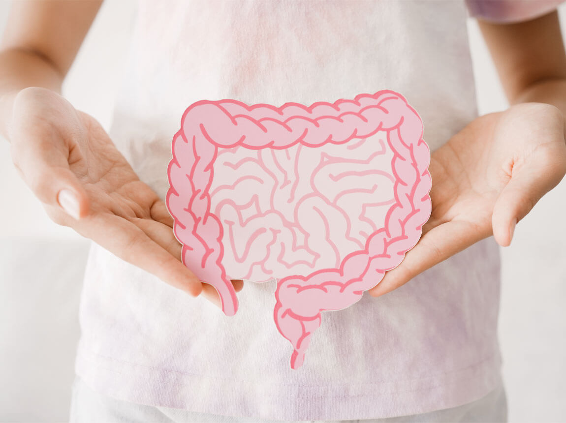 Darm - Ballaststoffe