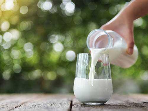 Ist Milch eine gute Proteinquelle?