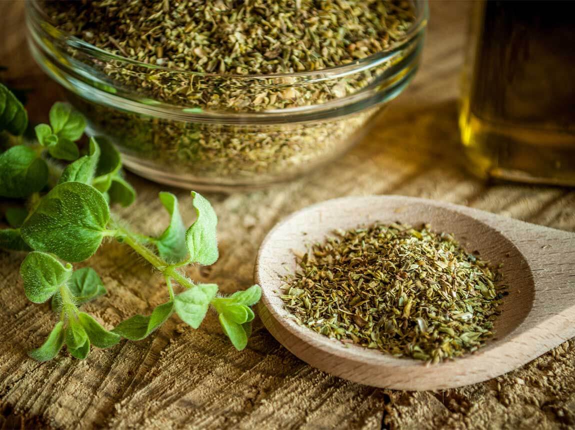 Oregano