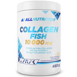 Fischkollagen 10 000 mg
